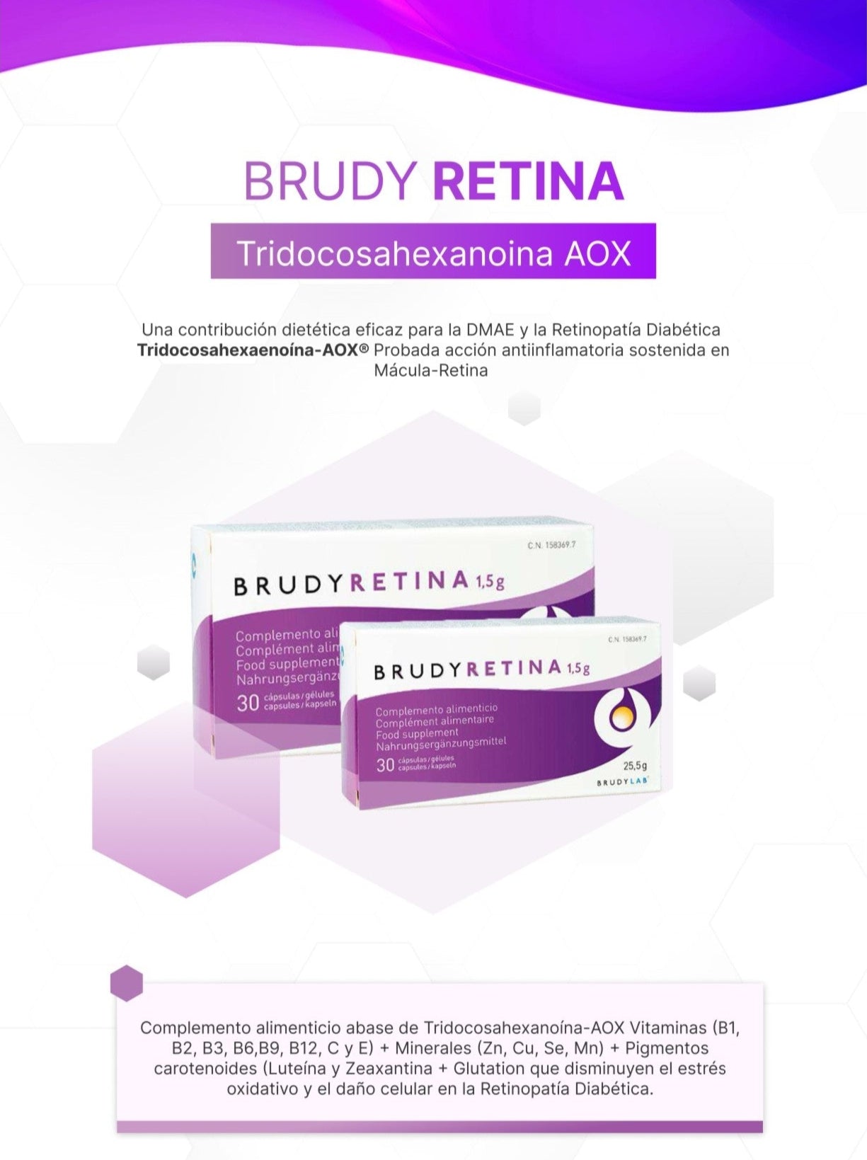 BRUDY RETINA