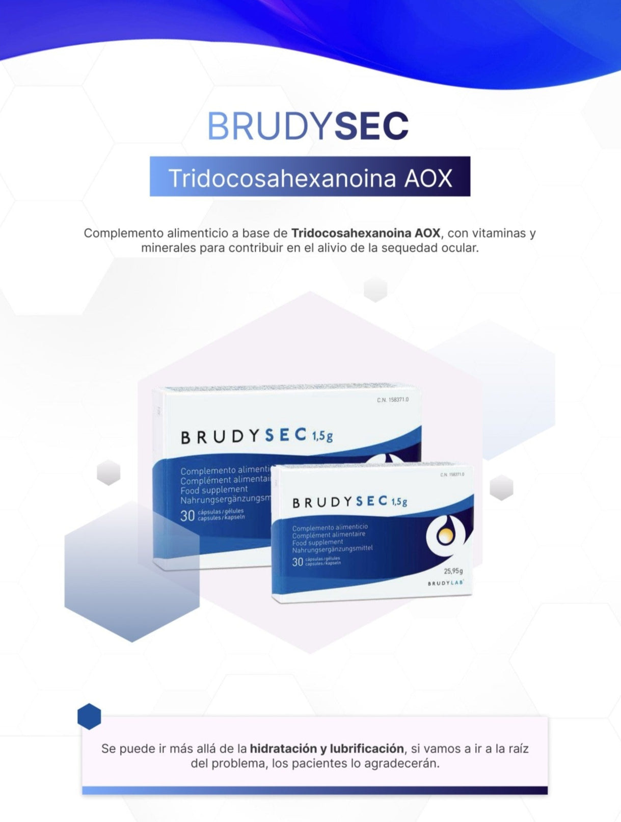 BRUDY SEC