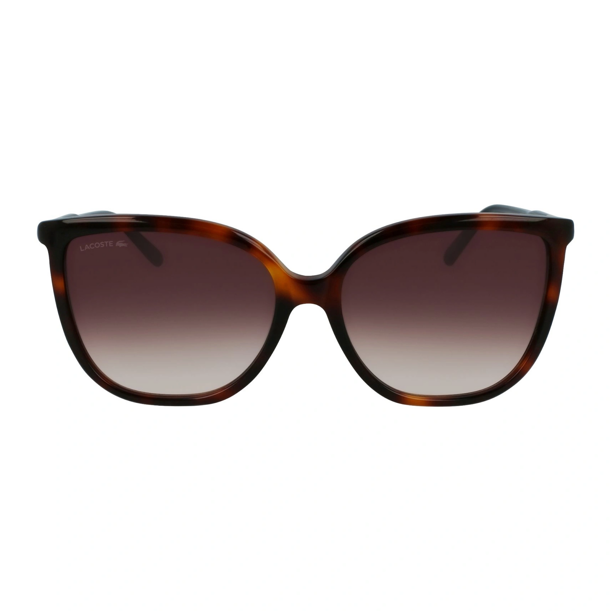 Optica costa sol 2025