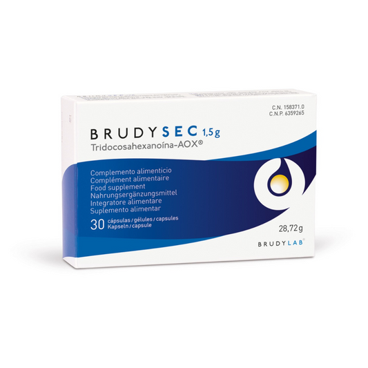BRUDY SEC